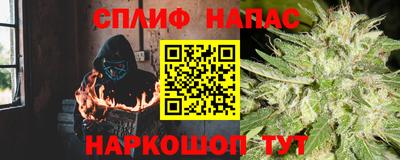 прущие грибы Новодвинск