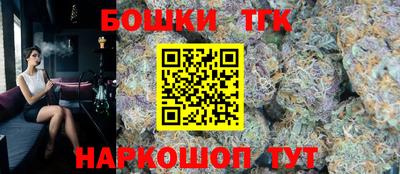 прущие грибы Новодвинск